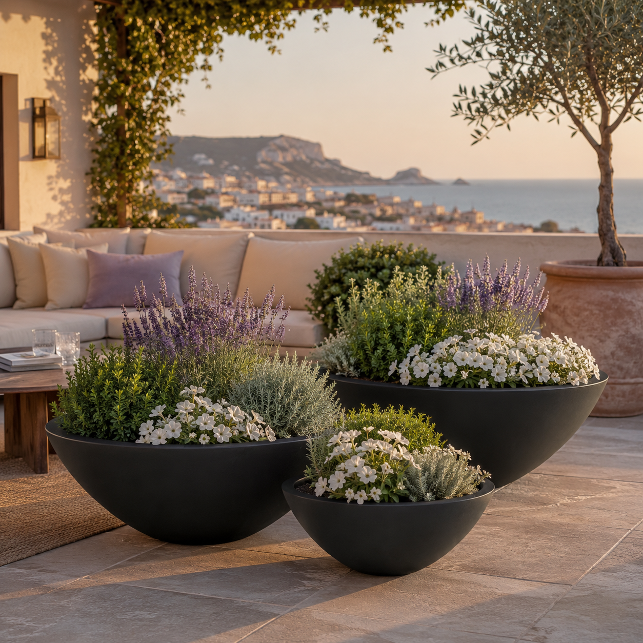 Black fibre clay bowl pots for poolside terrace