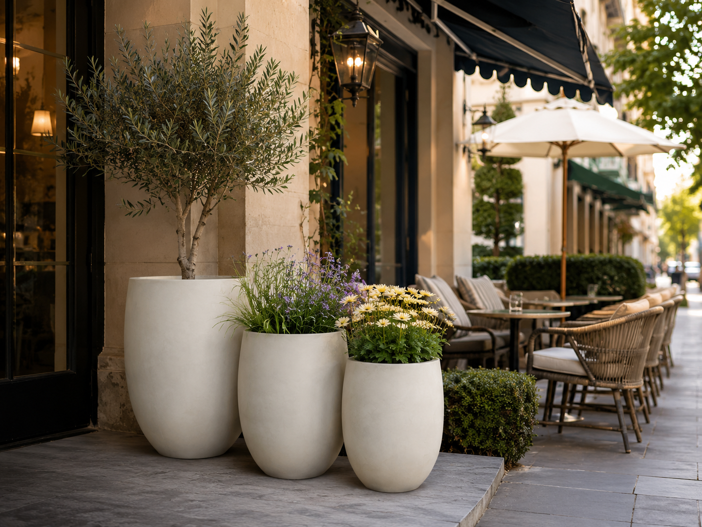 Smooth black round egg planters for cafe entrance