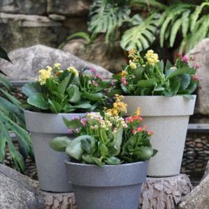 WHY ARE FIBRE CLAY POTS BETTER THAN PLASTIC ONE?